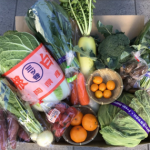 箱根西麓三島野菜詰合せ（三ツ谷白菜）