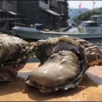 岩牡蠣”夏珠”