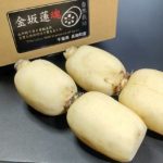 金坂蓮魂（かねさかれんこん）