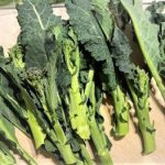 ブロッコリーとケールを掛け合わせた新野菜アレッタ