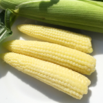 きみひめヤングコーン