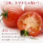 青空レストランで紹介された三重県いなべ市エーワイファームのミニトマト「プチぷよ」の通販情報を紹介するブログ用OGP画像