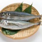 青空レストランで紹介された兵庫県のブランド魚メクリアジ’（脂ノリが上等な真アジ）