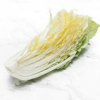 「ふくたち」とは?白菜との違いは?秋田県 通販でお取り寄せする方法やレシピ!青空レス
